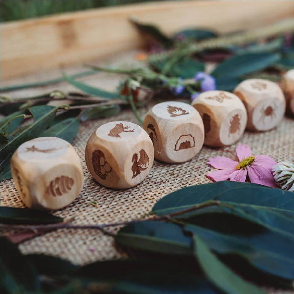 Nature Story Cubes Mini