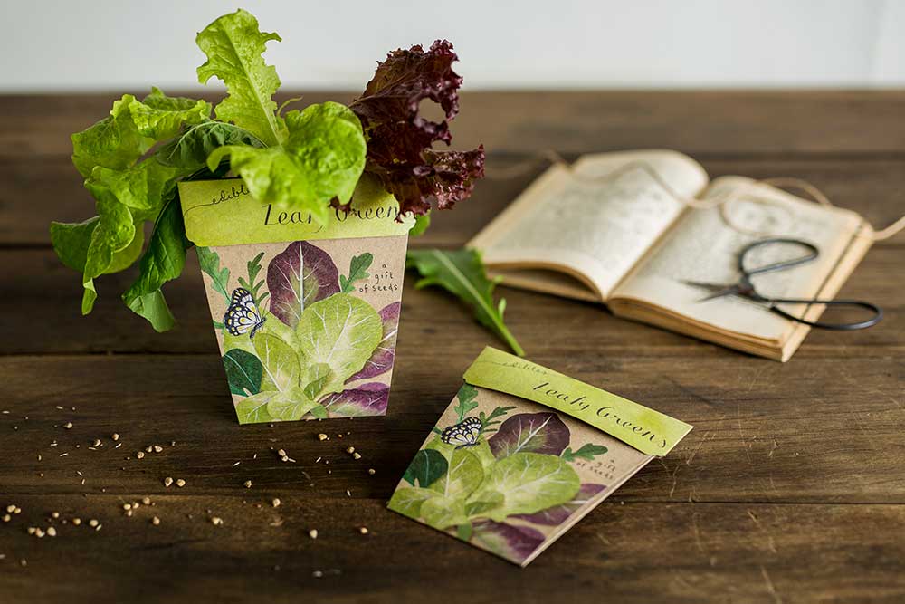 Leafy Greens Gift of Seeds (Australia Only)