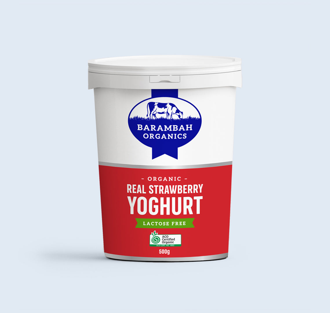 Barambah Yoghurt Medium