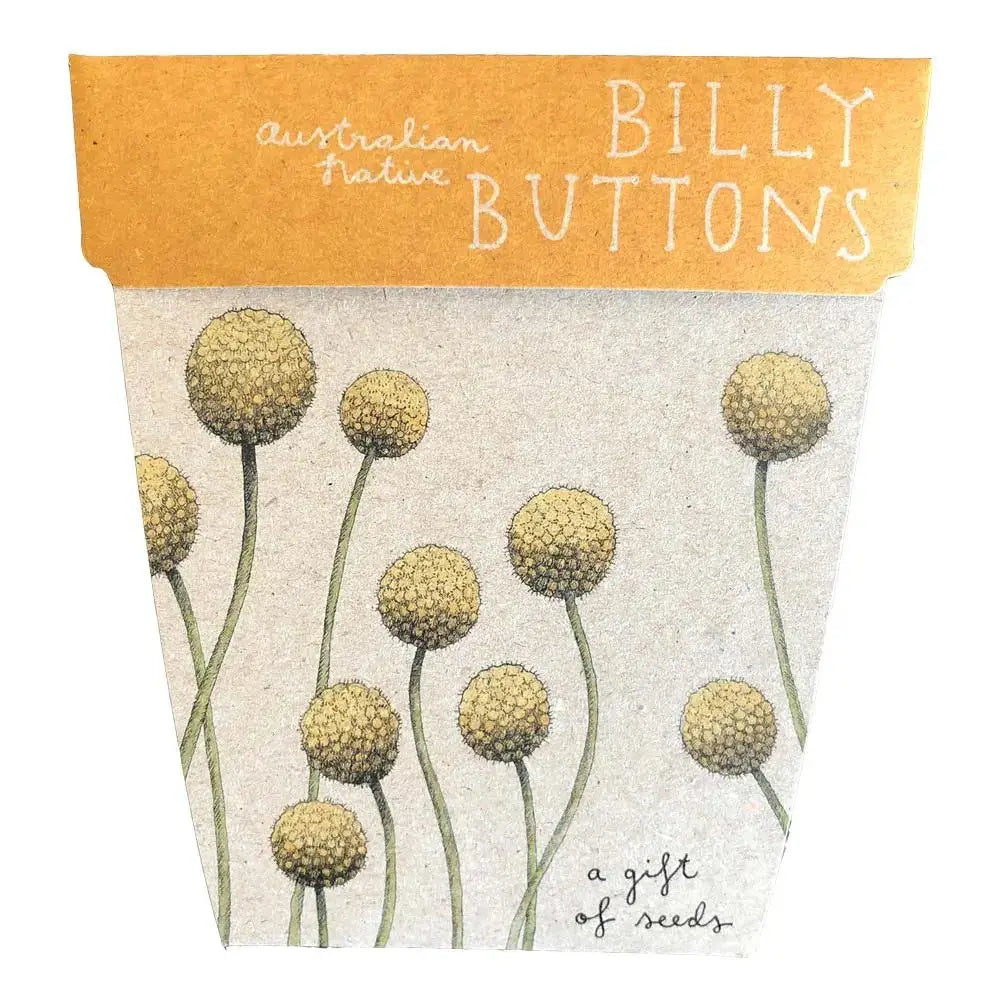 Billy Buttons