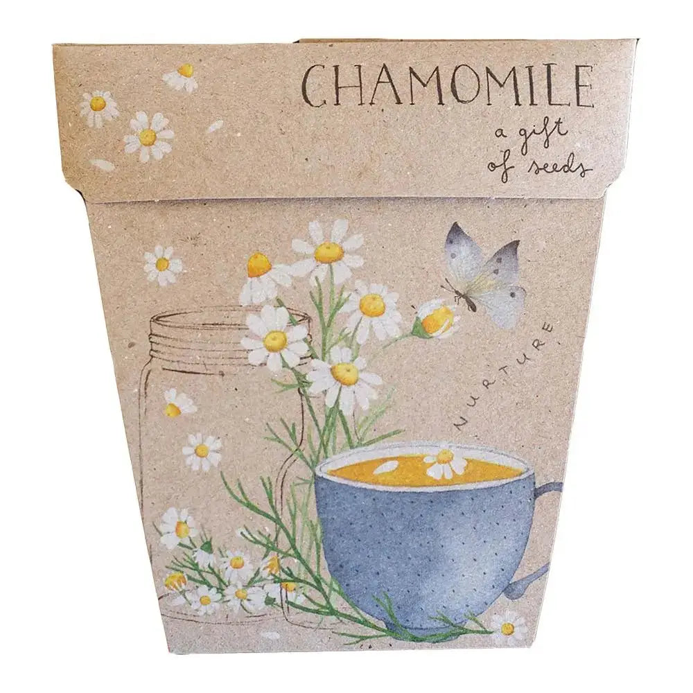 Chamomile