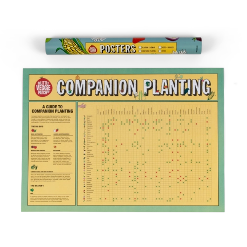 Companion Planting Chart