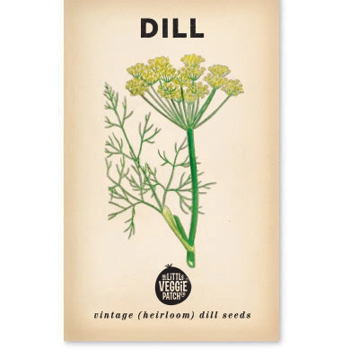 Organic Dill 'Common' Heirloom Seeds