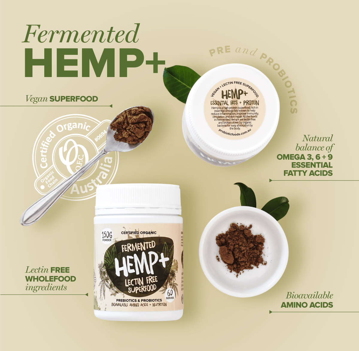 PROBIOTIC FOODS // FERMENTED HEMP+