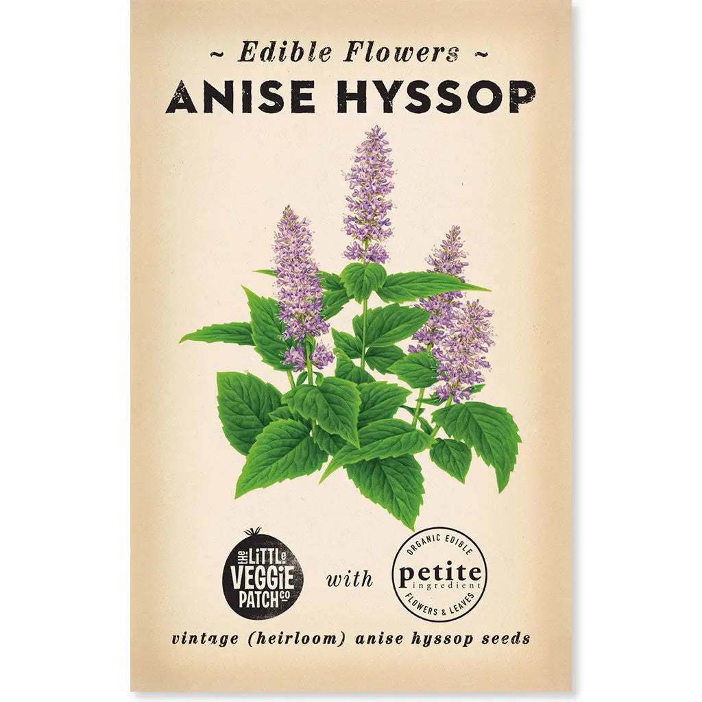 Hyssop "Anise" Heirloom Seeds