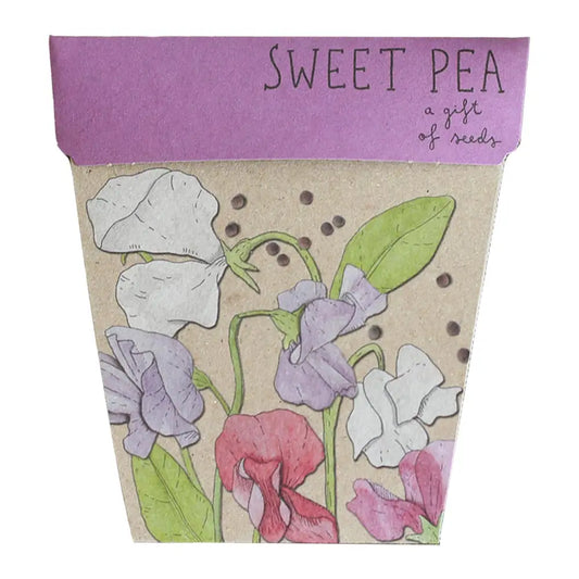 Sweet Pea