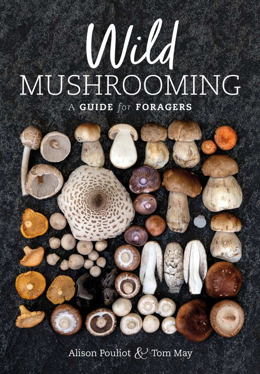 Book // Wild Mushrooming