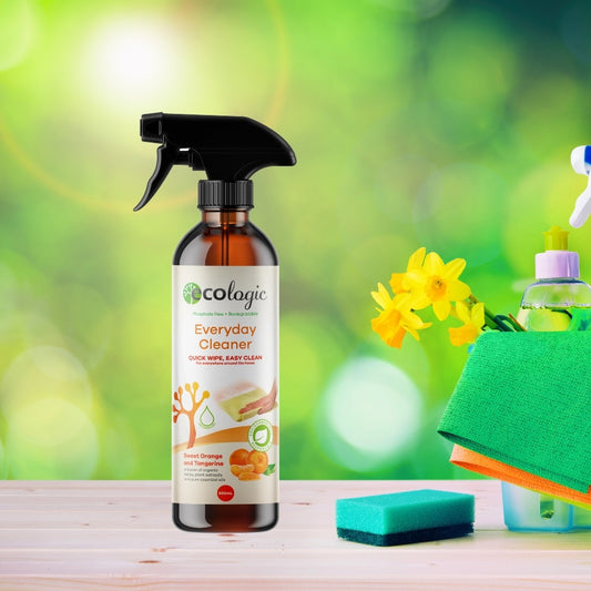 Eccologic Everyday Cleaner Sweet Orange & Tangerine