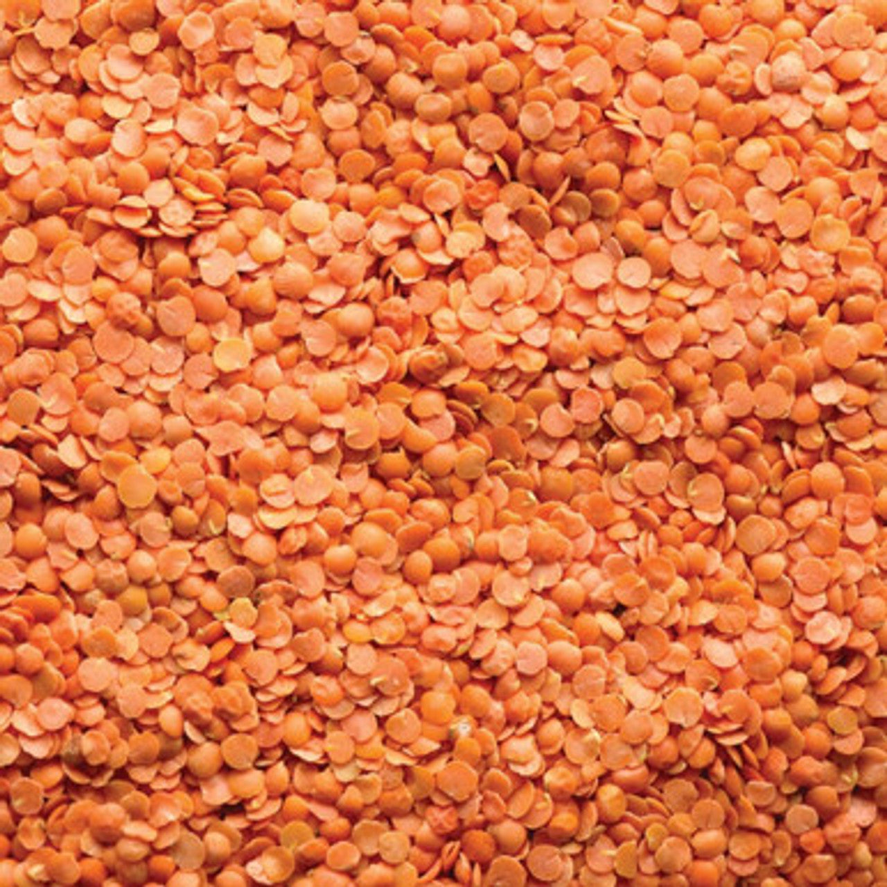 Honest To Goodness Organic Red Split Lentils