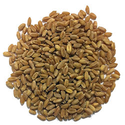 Eden Valley Whole Wheat Grain